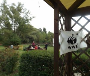 WWF Potenza