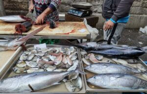 mercato illegale giovanili di pesce spada