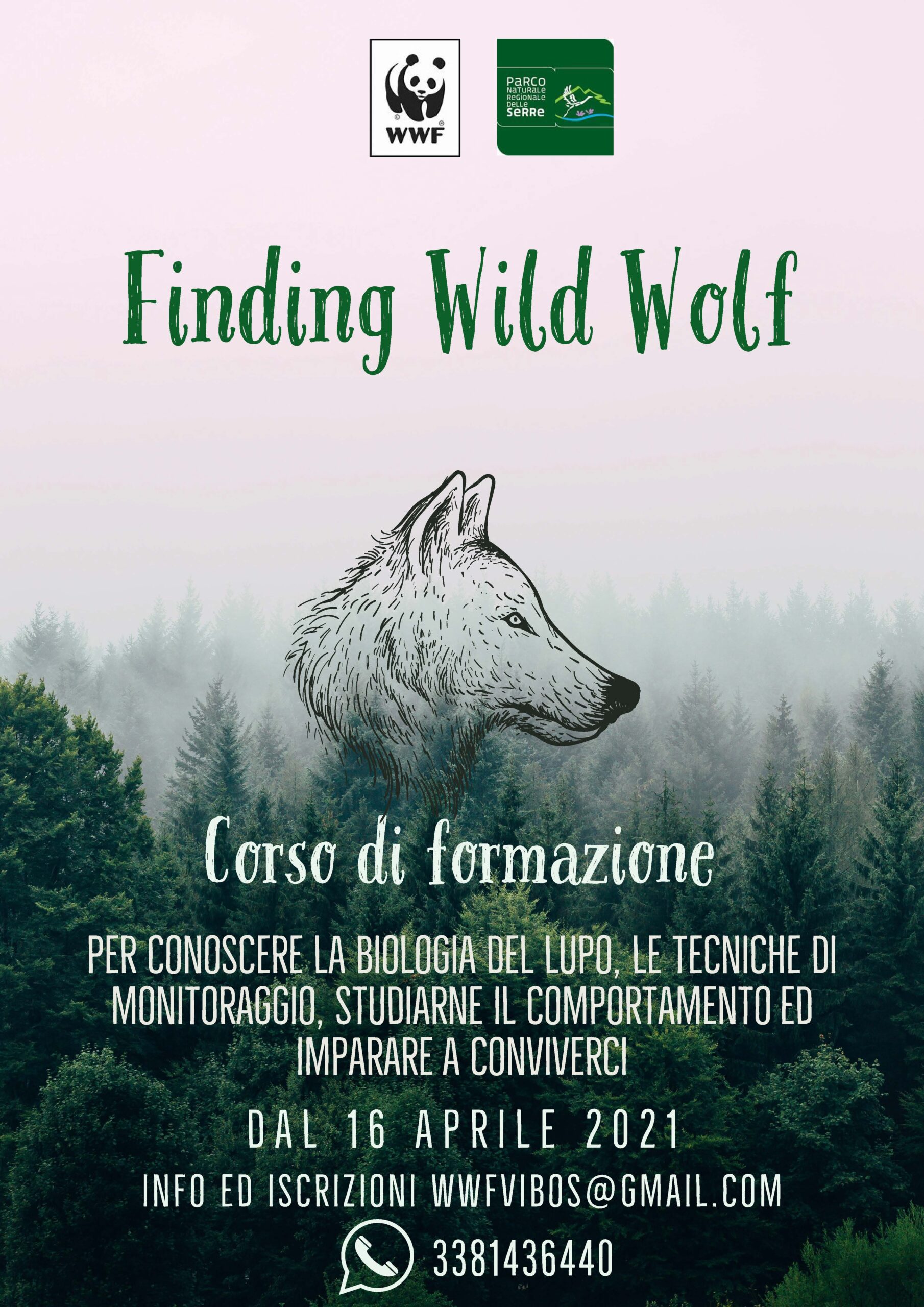 Convivere con il lupo, un corso del WWF Calabria