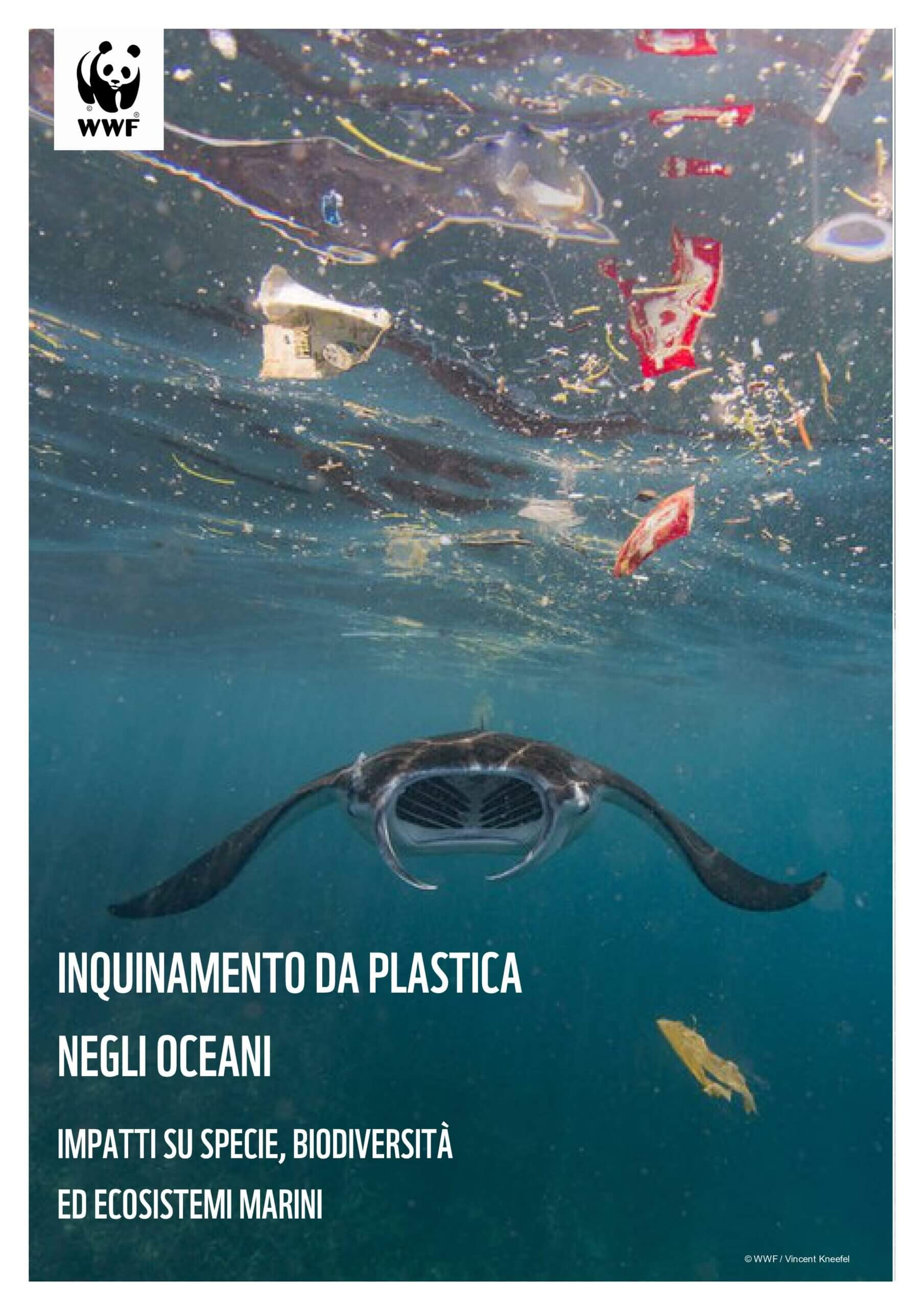 Cover Report plastica 2022