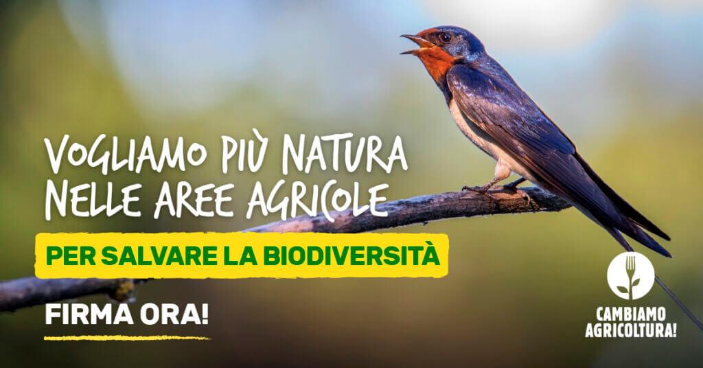 Cambiamo Agricoltura