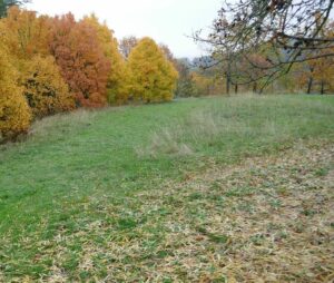 Parco del Belpoggio