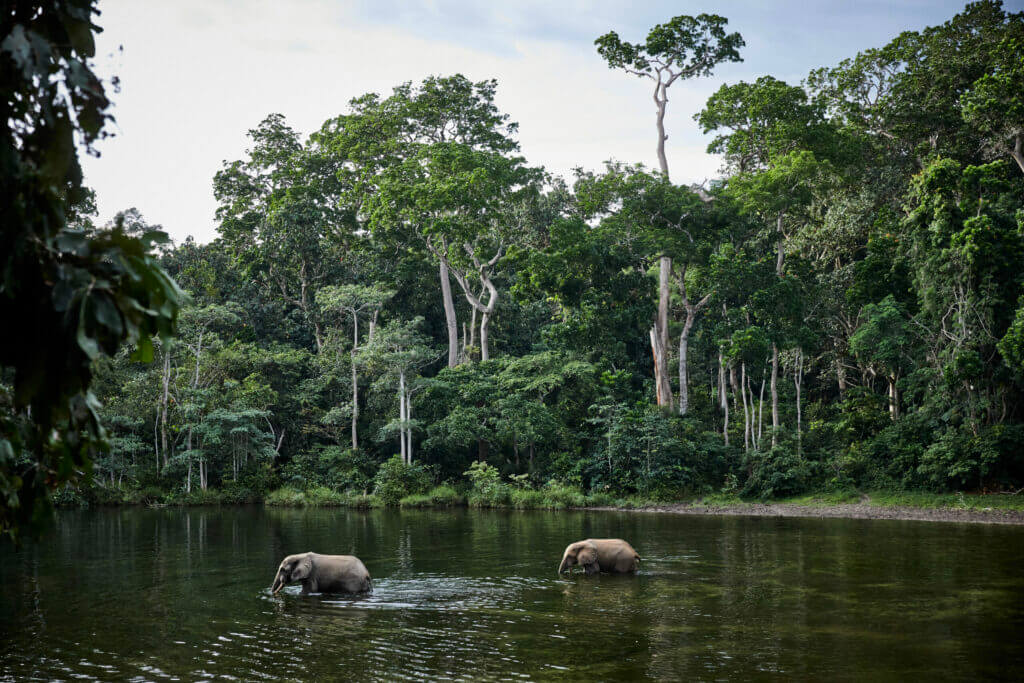 Bacino del Congo
