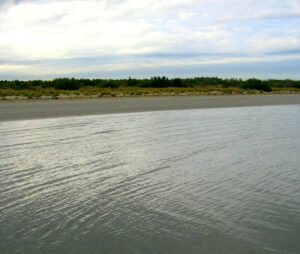 Dune degli Alberoni