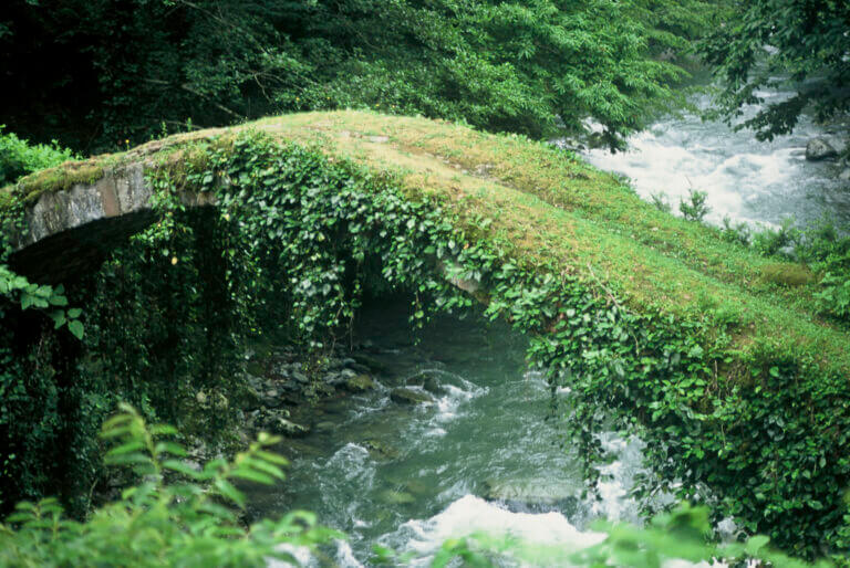 Soluzioni basate sulla natura