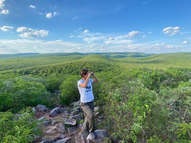 Paraguay, foreste