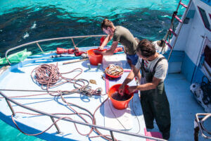 Pescatori artigianali