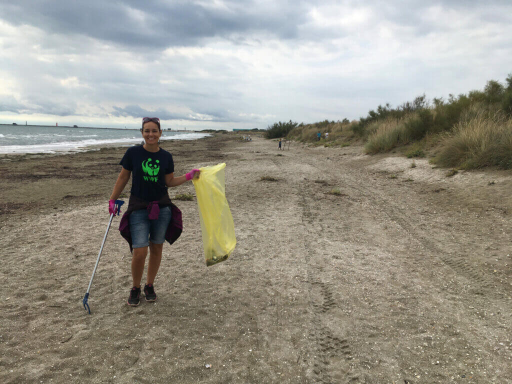 Pulizia delle spiagge 