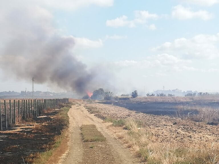 Incendio Saline