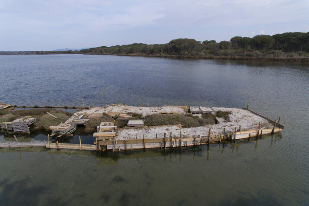 Isolotti per le sterne a Orbetello 