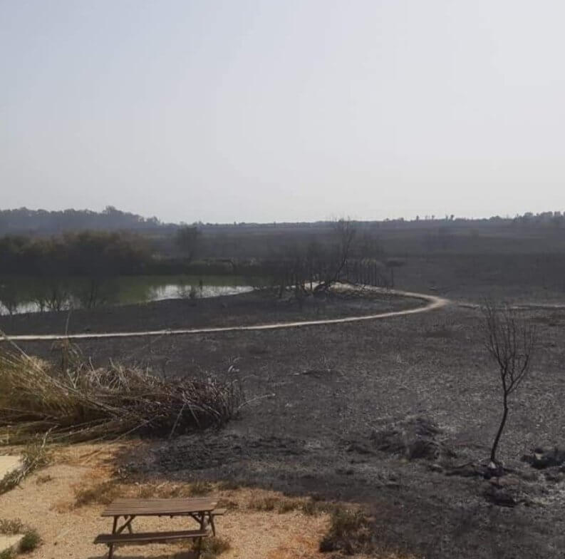 Oasi del Simeto colpita dalle fiamme in Sicilia