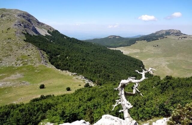 Parco nazionale del Pollino