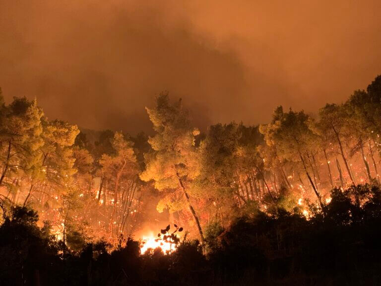 incendio in Grecia