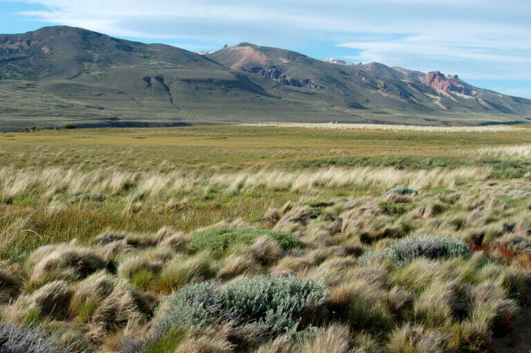 Prateria in Argentina