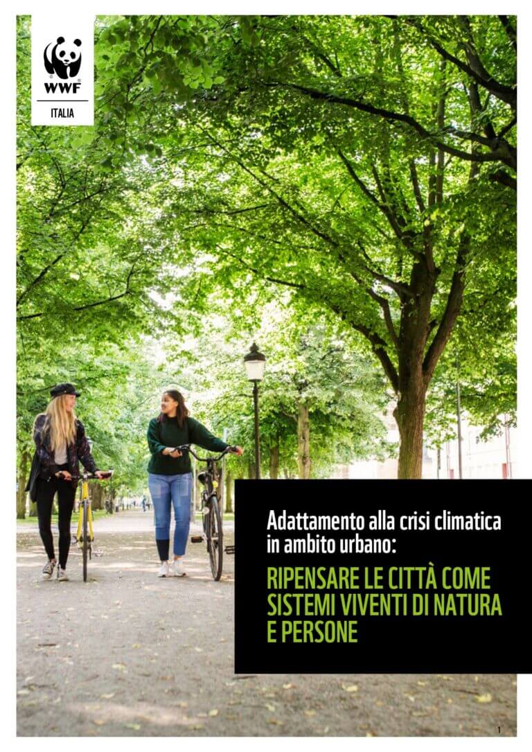 cover report UN 2025