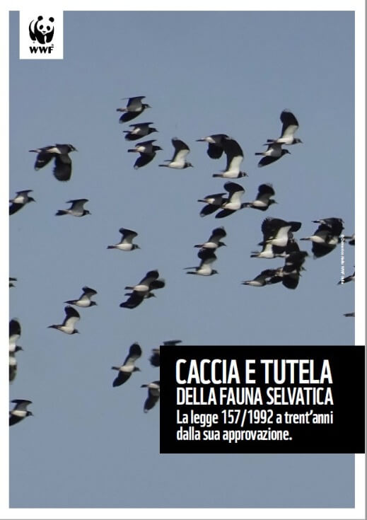 Caccia e tutela della fauna selvatica