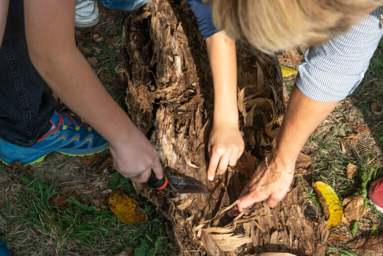 Aula Natura inaugurata a Reggio Emilia