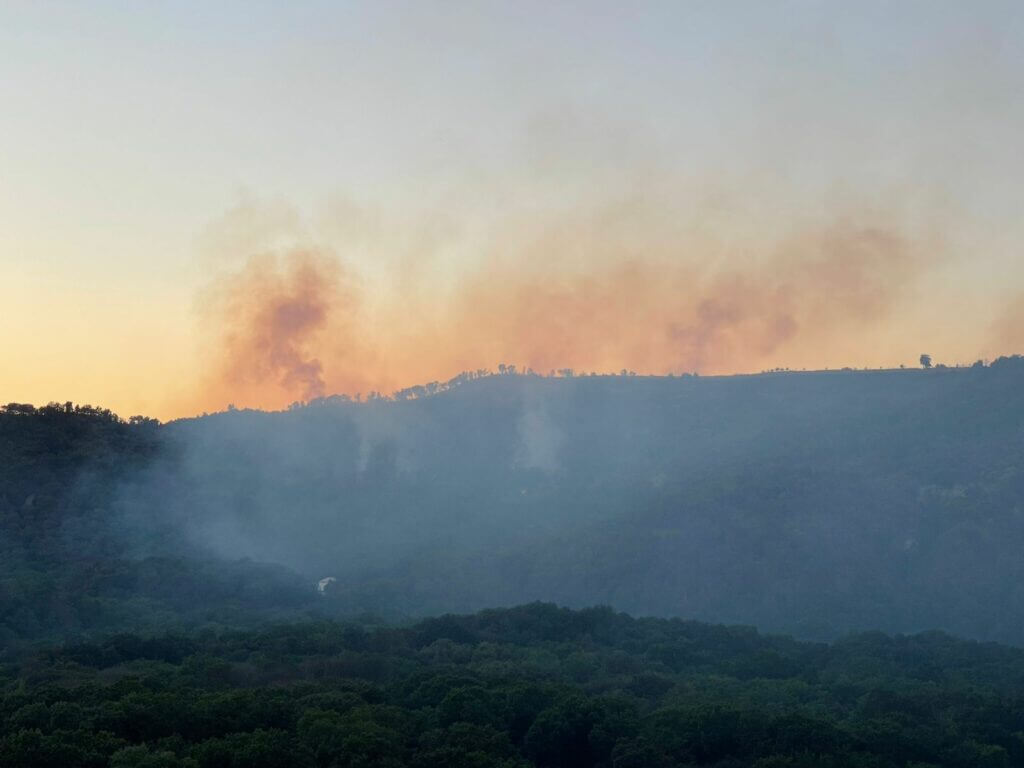 Incendio ad Astroni, agosto 2022