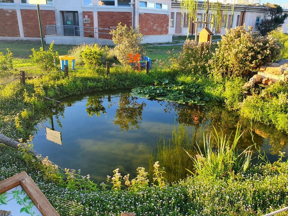 L'aula natura nell'ospedale pediatrico di Palidoro