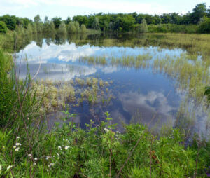 Parco Ex Fornace dell’Adda