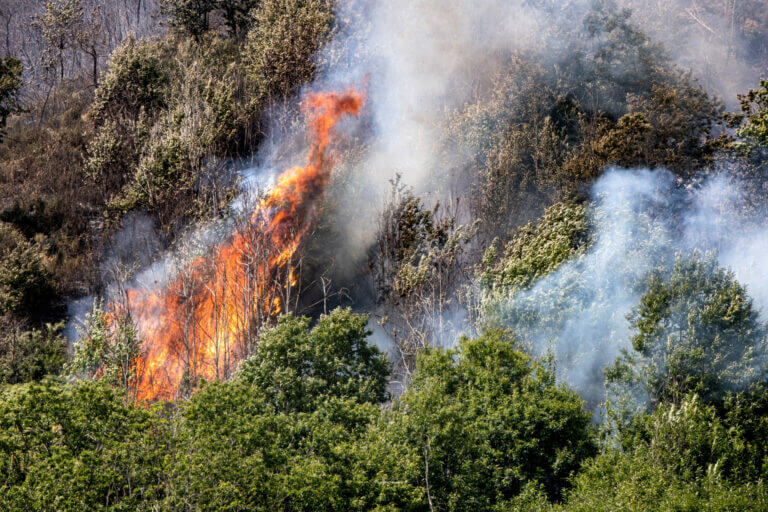 Incendi a Baronissi