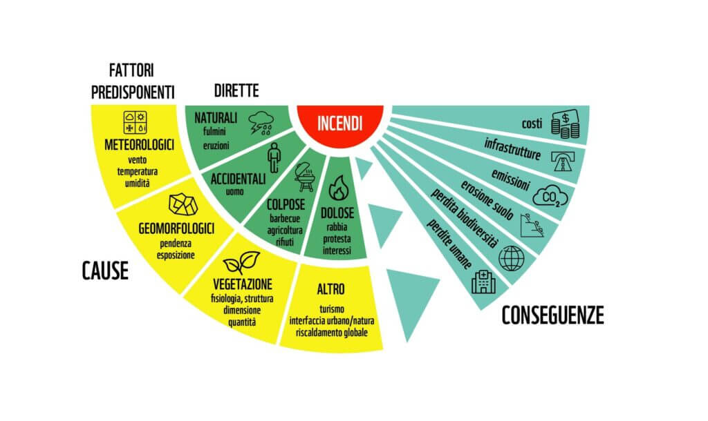 Infografica incendi