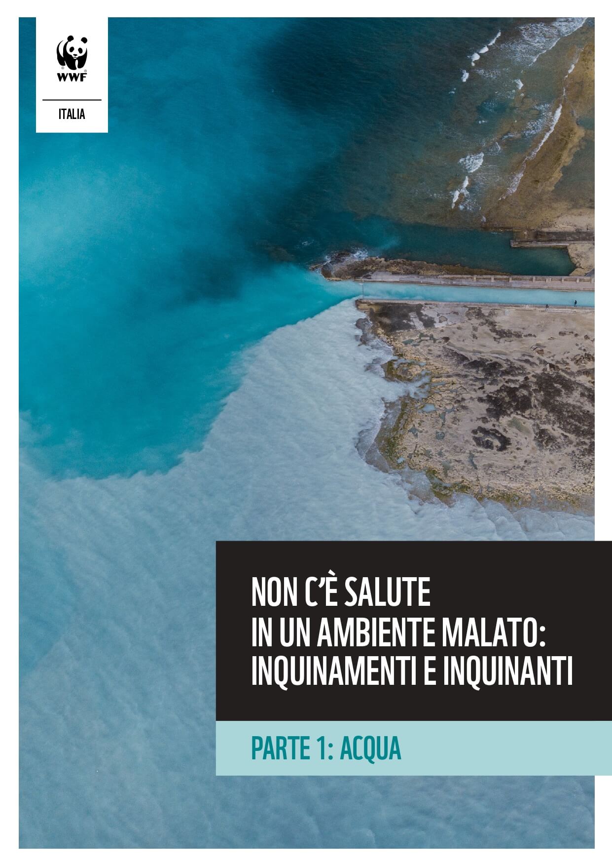 Report acque inquinamento inquinanti