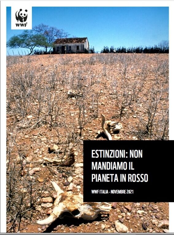 Report WWF estinzioni