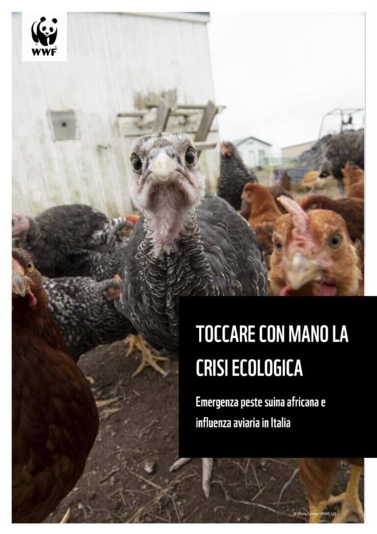 Toccare con mano la crisi ecologica