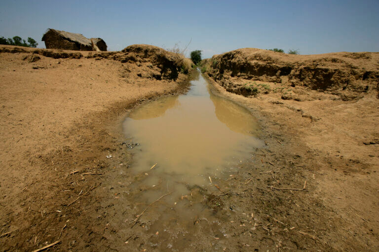 Siccità, acqua