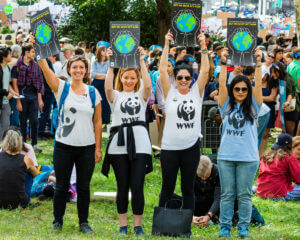 Manifestazioni dei giovani per il Clima